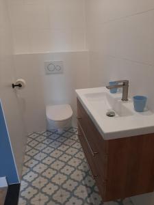 een badkamer met een wastafel en een toilet bij B & B Tulp Amsterdam Noord in Amsterdam