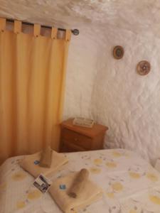 a bedroom with a bed with a shower curtain at The Welcome Cave in Freila