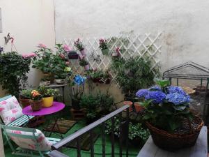 Ogród w obiekcie La casa del gatico