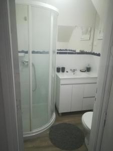 La salle de bains est pourvue d'une douche, de toilettes et d'un lavabo. dans l'établissement Branda da Aveleira, à Branda da Aveleira