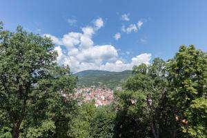 Príroda v okolí hotela