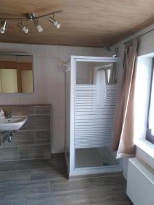 a bathroom with a shower and a sink at Marktstube in Marsberg