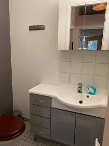 un baño con lavabo y espejo en Apartment Suivakko, en Saariselkä