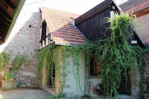 an old house with ivy growing on the side of it at le jardin du rempart in Westhoffen