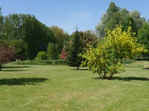 a tree with yellow leaves in a field at Chambres d'hôtes La Ferme du Scardon in Neufmoulin