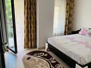 a bedroom with a bed and a window and a rug at Bridge tower Residence in Iaşi