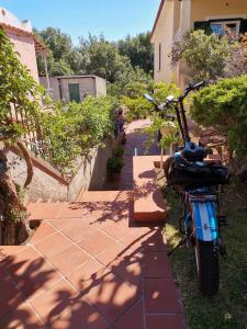 A garden outside A CASA