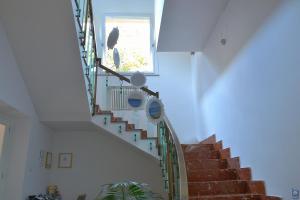 a staircase in a house with a bird sitting on the window at B&b Mondello Resort in Palermo