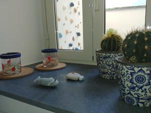 a counter top with two stuffed animals and some plants at Casa Vacanze Sempreinsieme Santa Tecla in Santa Tecla
