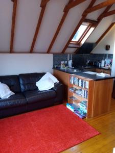 a living room with a black couch and a red rug at Rose Cottage studio in Sheffield