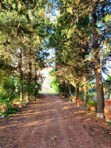 a dirt road lined with trees and plants at Residenza Santa Maria In Borraccia in Magliano in Toscana