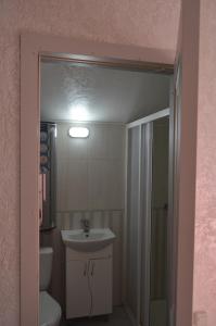 a bathroom with a sink and a toilet and a shower at Апартаменти в Будиночку біля Софіївського Парка in Umanʼ