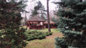 Zahrada ubytování Hotel U Witaszka