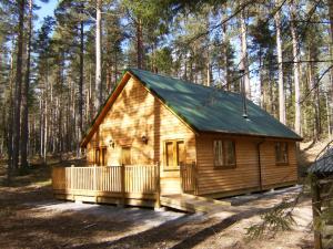 a cabin in the woods with a green roof at Cairngorm Lodges in Aboyne
