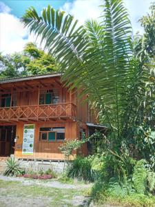 a wooden house with a palm tree in front of it at El Descanso in Mindo