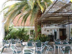 un patio con mesas, sillas y una palmera en Hostal las Tres Jotas, en Alcaracejos