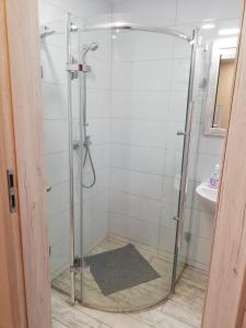 a shower with a glass door next to a sink at PAKLADA 2 Pokój typu studio in Karsin