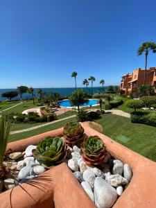 a garden with cacti and rocks in a stone wall at Casa de Dolores in Estepona