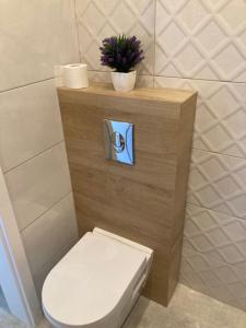 a bathroom with a toilet with a wooden shelf at Apartament Fabryczna 35 in Białystok