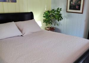 Uma cama ou camas num quarto em Rugosa Guest House