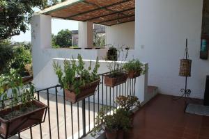 Gallery image of Casa Diana Arianna in Lipari +66 photos