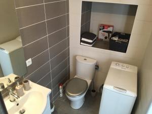 ラ・トゥール・デュ・パンにあるAppartement la Gareのトイレと洗面台のある小さなバスルーム +12枚の写真
