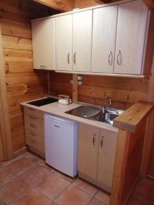 eine kleine Küche mit Spüle und Geschirrspüler in der Unterkunft CASA DE MADERA ZUMACAR V in Cazorla