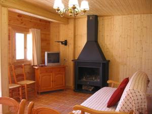 sala de estar con chimenea y TV en CASA DE MADERA ZUMACAR VI, en Cazorla