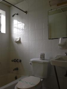 a white toilet sitting next to a bath tub in a bathroom at Palacio Inn Motel in Miami