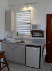 a kitchen with a sink and a microwave at Michelo Suites in Placencia Village
