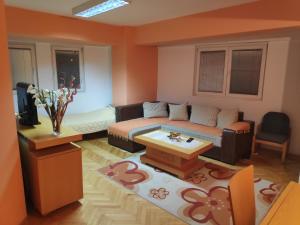 a living room with a couch and a table at S.K Apartments in Ohrid
