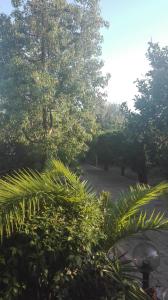 Zahrada ubytování Panos and Chrisas House