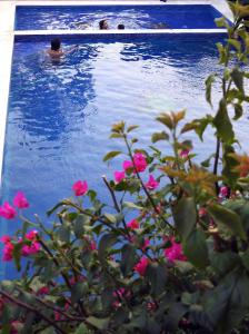 A garden outside Don Luis Hostal - Sucursal Galeana - Tecolutla