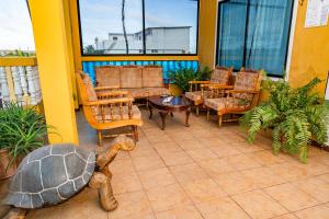 eine Schildkröte auf einer Terrasse mit Stühlen und einem Sofa in der Unterkunft Tintorera Guest House in Puerto Ayora