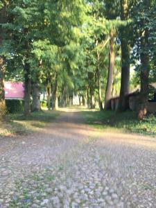 a road with trees and leaves on the ground at Luna Solis Stay Zimmer und Hostel nahe A1 in Heidenau