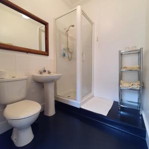 a bathroom with a toilet and a shower and a sink at Moraybank Bed & Breakfast in Elgin