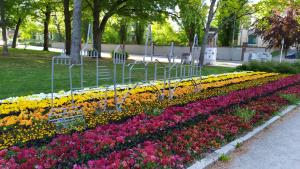 Zahrada ubytování alte Bäckerei Bautzen - 00 #Kids# im Zentrum, mit Parkplatz, Top Ausgestattet