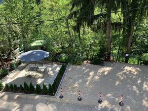 Gallery image of Belle View Apartment Sinaia in Sinaia