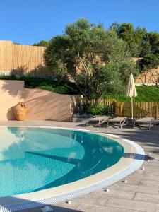 einen Pool in einem Garten mit Stühlen und einem Sonnenschirm in der Unterkunft Park Hotel Asinara in Stintino