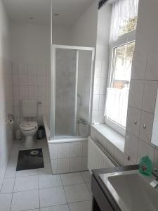 a bathroom with a shower and a toilet and a sink at Zur Alten Oberförsterei in Benneckenstein