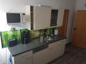 eine Küche mit einer Spüle und einer Mikrowelle in der Unterkunft Zur Alten Oberförsterei in Benneckenstein