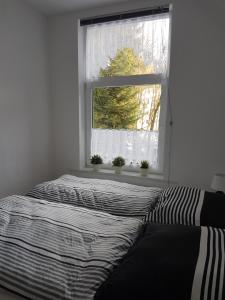 Schlafzimmer mit einem Bett und einem Fenster mit Pflanzen in der Unterkunft Zur Alten Oberförsterei in Benneckenstein