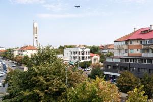 een vogel die in de lucht vliegt boven een stad bij Corso Apartments B&B in Focşani