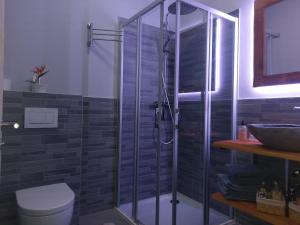 a bathroom with a glass shower with a toilet at Gantrisch Lodge in Rüschegg