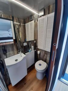 łazienka z toaletą i umywalką w obiekcie Domki pływające Houseboat4U, Mazury w mieście Ruciane-Nida