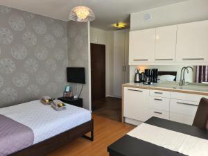 Η κουζίνα ή μικρή κουζίνα στο Lux Apartment Cosy