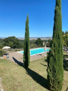 una piscina tra due alberi in un cortile di Regina home a Contignano