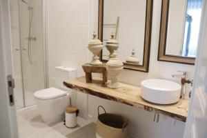 a bathroom with a sink and a toilet and a mirror at Madrinha Country House in Antas +27 photos