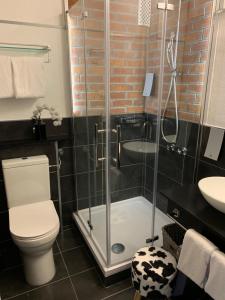 a bathroom with a shower and a toilet and a sink at Hotel Lindenhof in Düsseldorf