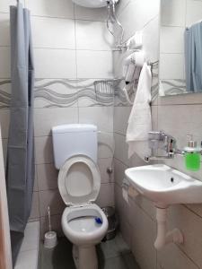 Vannituba majutusasutuses Mitić Apartmani 1